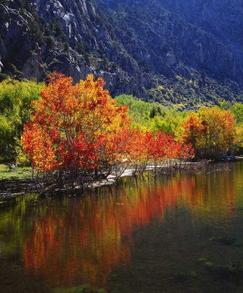 California, Autumn in the Sierra Nevada Mts